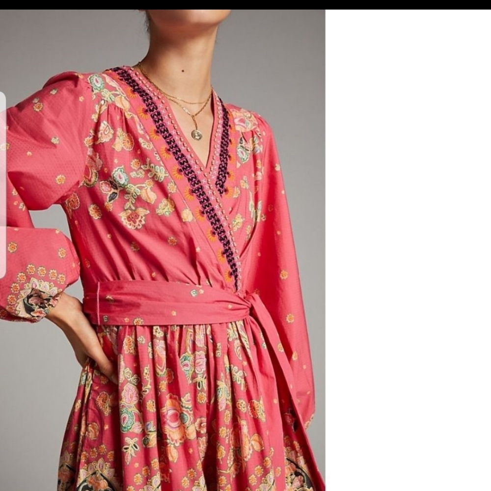 #251. Anthropologies Racquel Embroidered Mini Dress - Picture 5 of 6